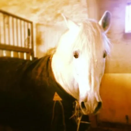 Venkovský dům Rural Villares *