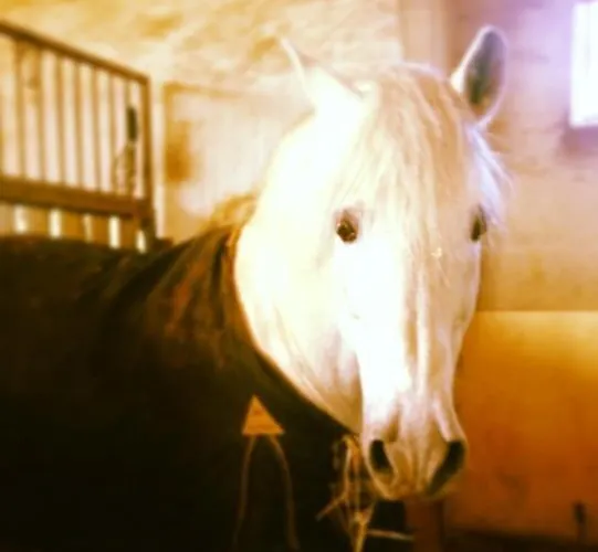 Landhuis Rural Villares *